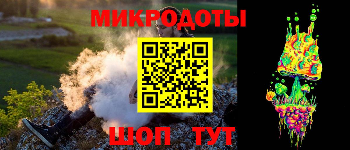 Псилоцибиновые грибы Psilocybine cubensis Солнечногорск